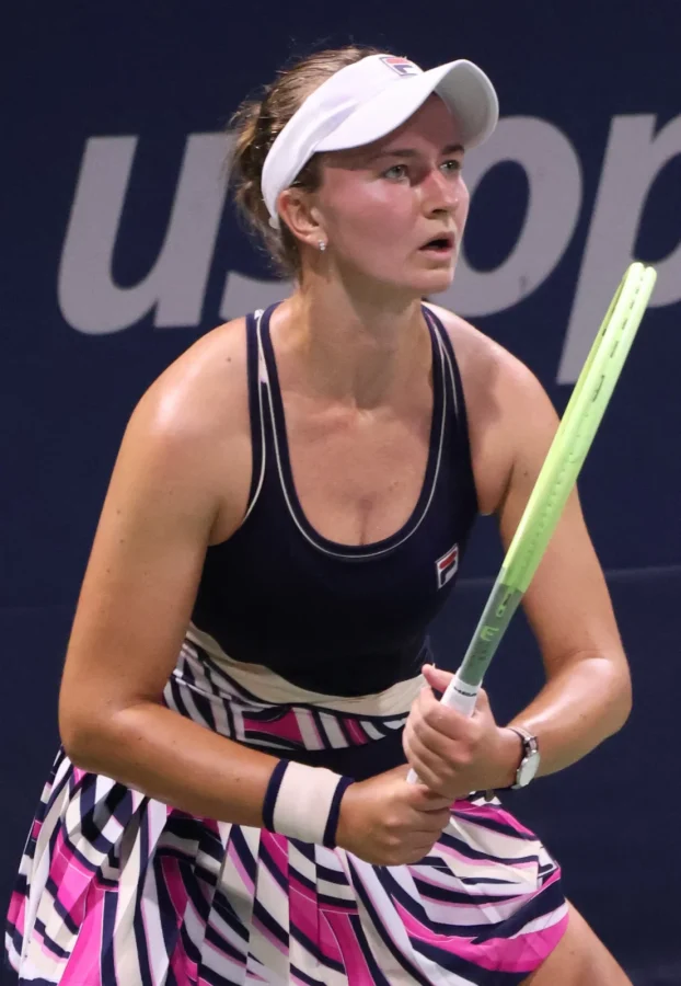 Barbora Krejčíková, WTA Tour