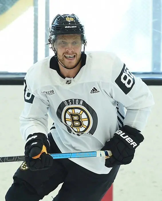 David Pastrňák, Boston Bruins