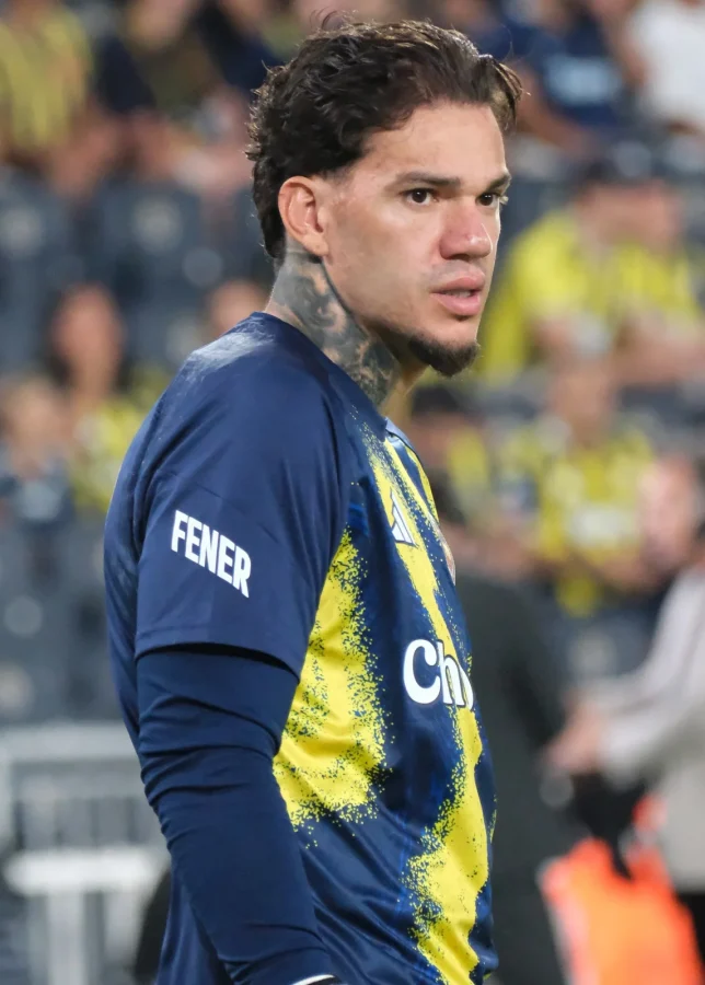 Ederson, Fenerbahçe