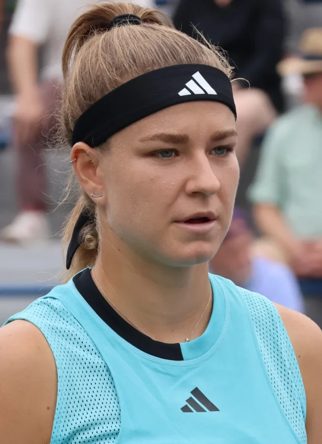 Karolína Muchová, WTA Tour
