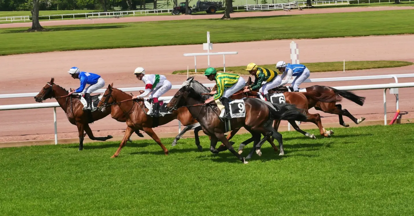 Flat racing at Châteaubriant in France; illustrative archive photograph