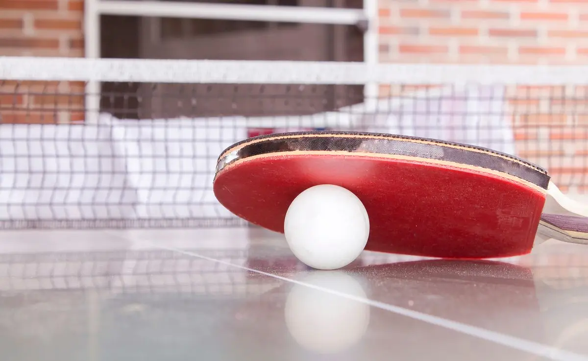 Table tennis bat and ball beside the net