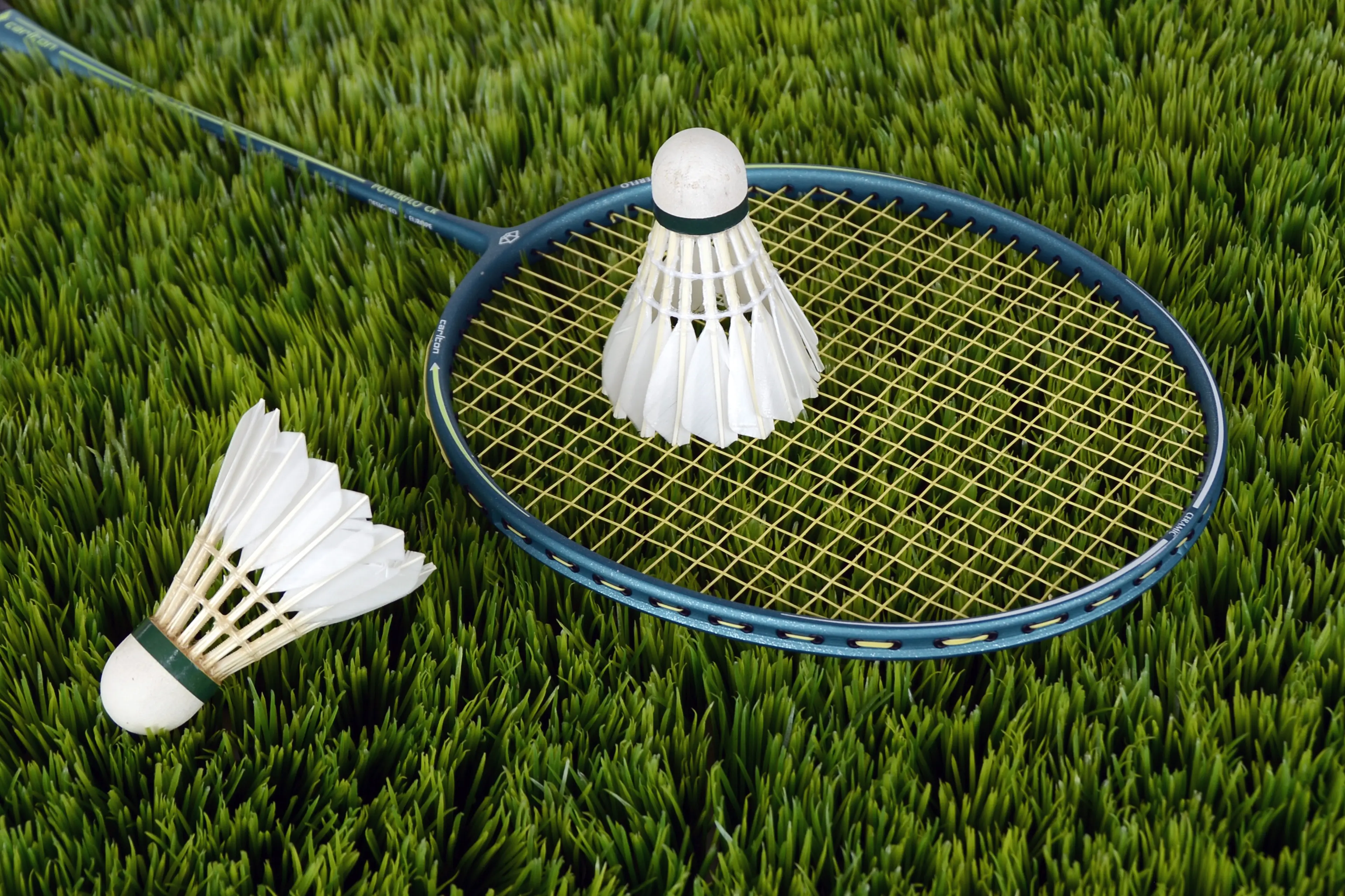 Two badminton rackets and shuttlecocks