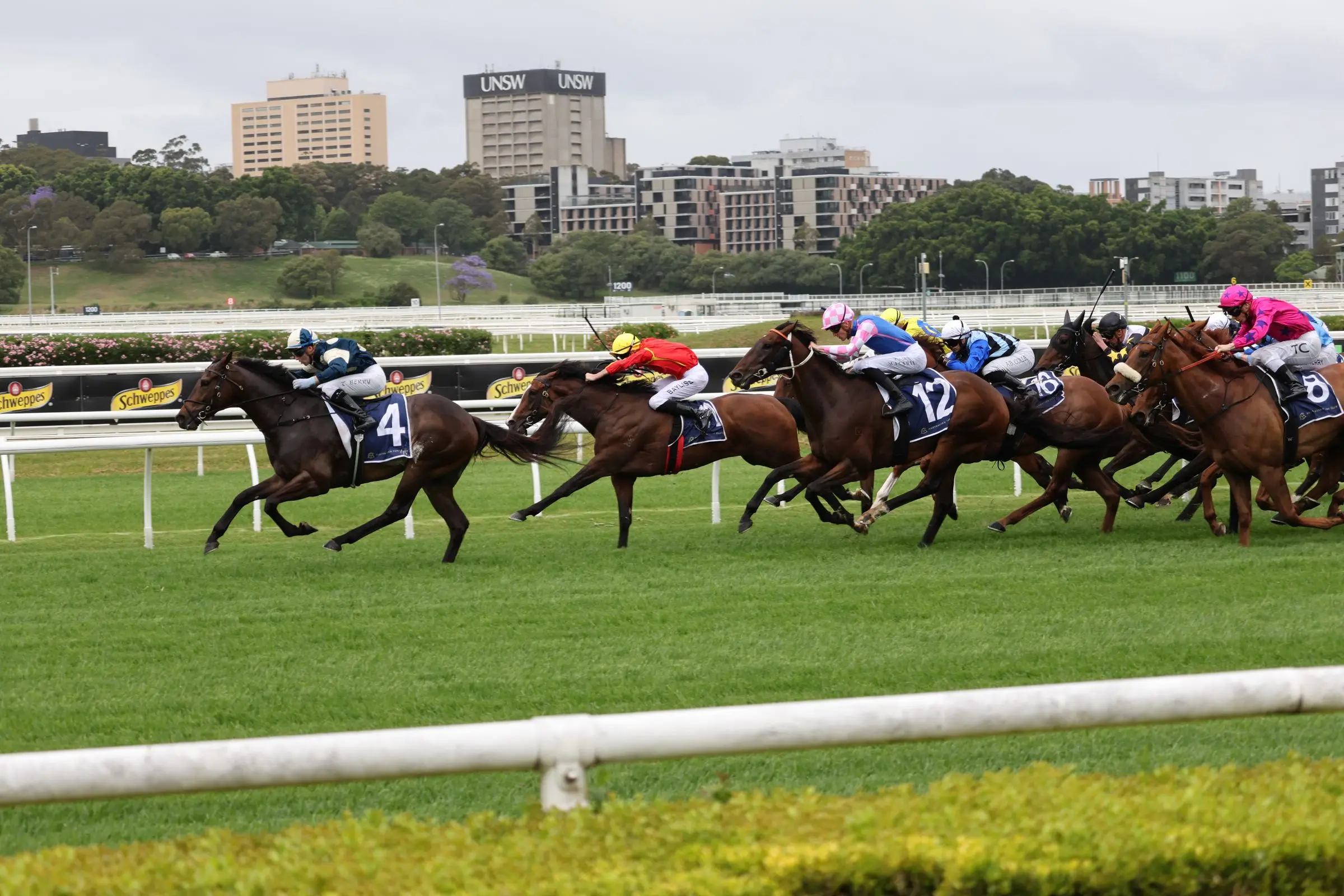 Racehorses and jockeys at Randwick in Sydney