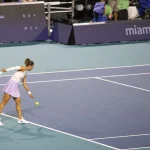 Wushuang Zheng