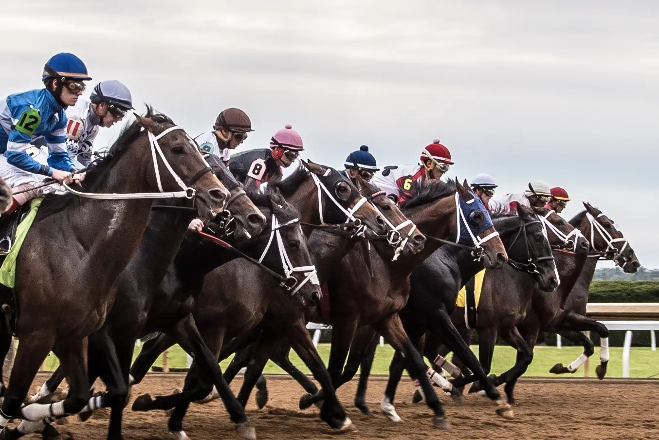 Thoroughbred horses and jockeys racing at Keeneland Racecourse