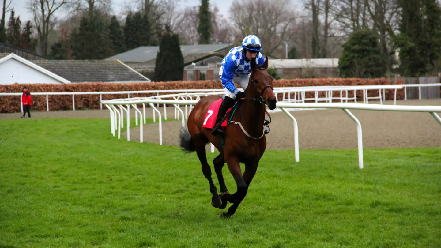 Horses racing at Kempton Park in an archive photograph
