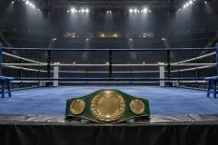 Joshua Buatsi v Willy Hutchinson for WBC title