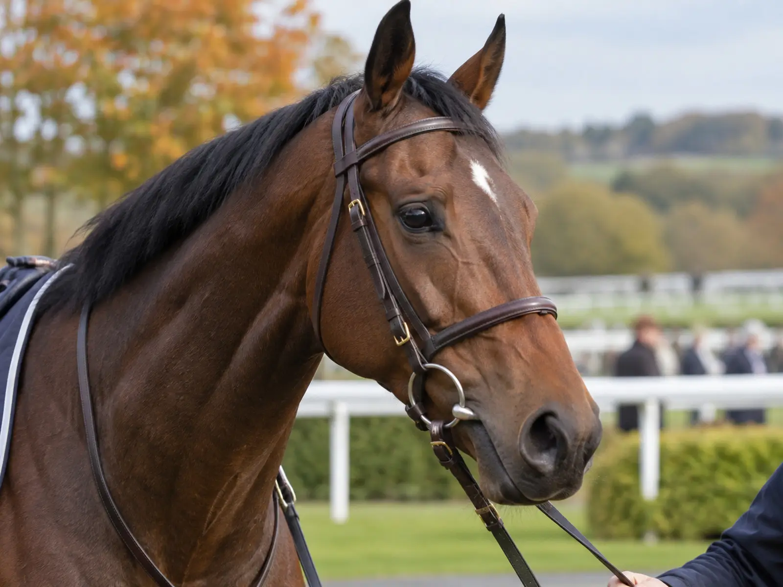 Conceptual image of an anonymous thoroughbred in a racing paddock