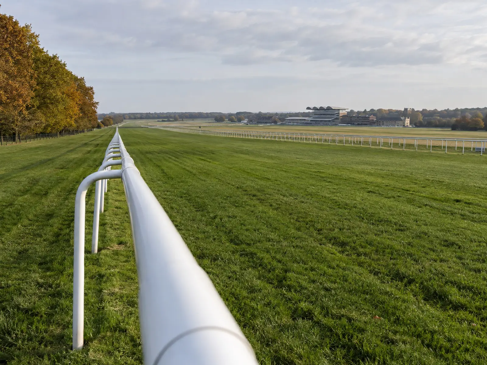 Conceptual image of an empty English turf racecourse