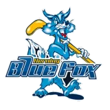 Herning Blue Fox