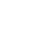 Ospreys