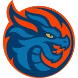 Shanghai Dragons