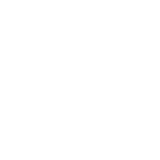 Zebre